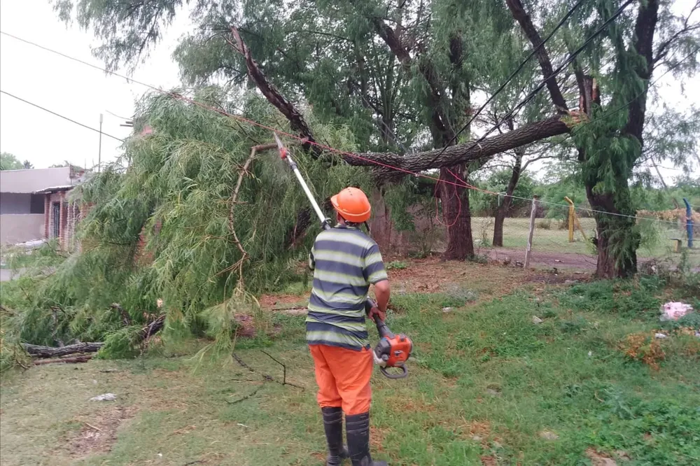 trabajos tras tormenta vgg (2)