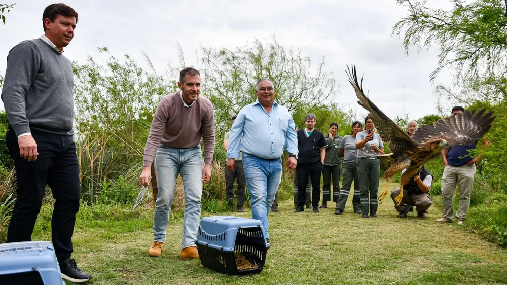 WhatsApp Image 2024-12-28 at 09.26.13