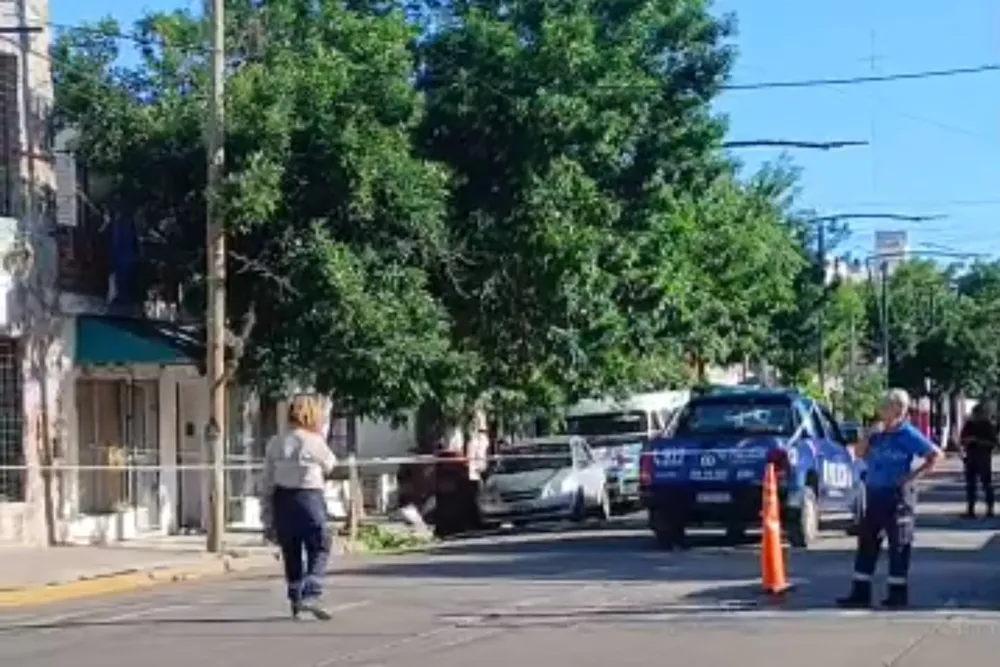 InShot_20241026_195316869