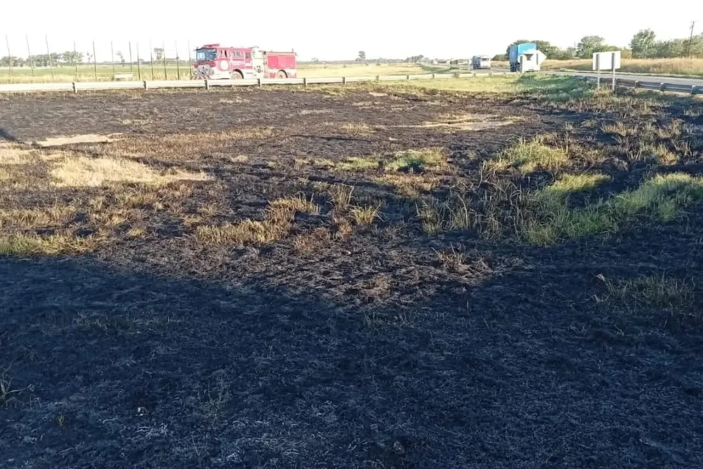 WhatsApp Image 2025-01-30 at 15.52.56