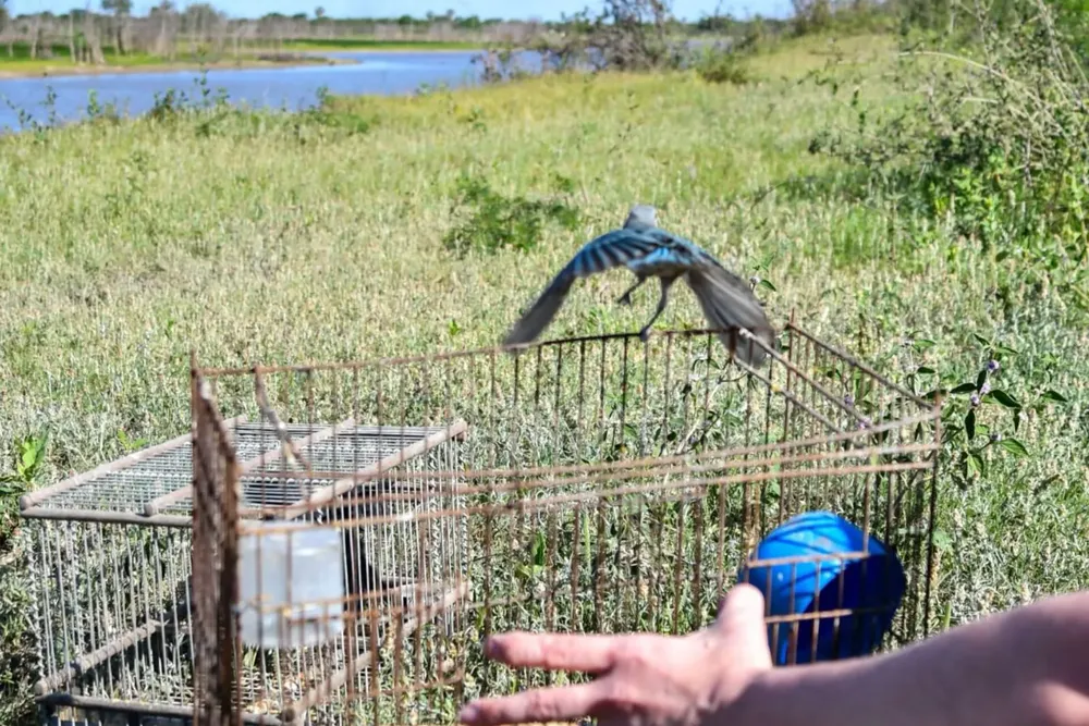 WhatsApp Image 2024-10-11 at 12.17.29