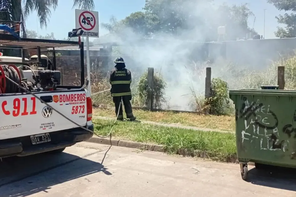 WhatsApp Image 2026-01-03 at 17.16.48