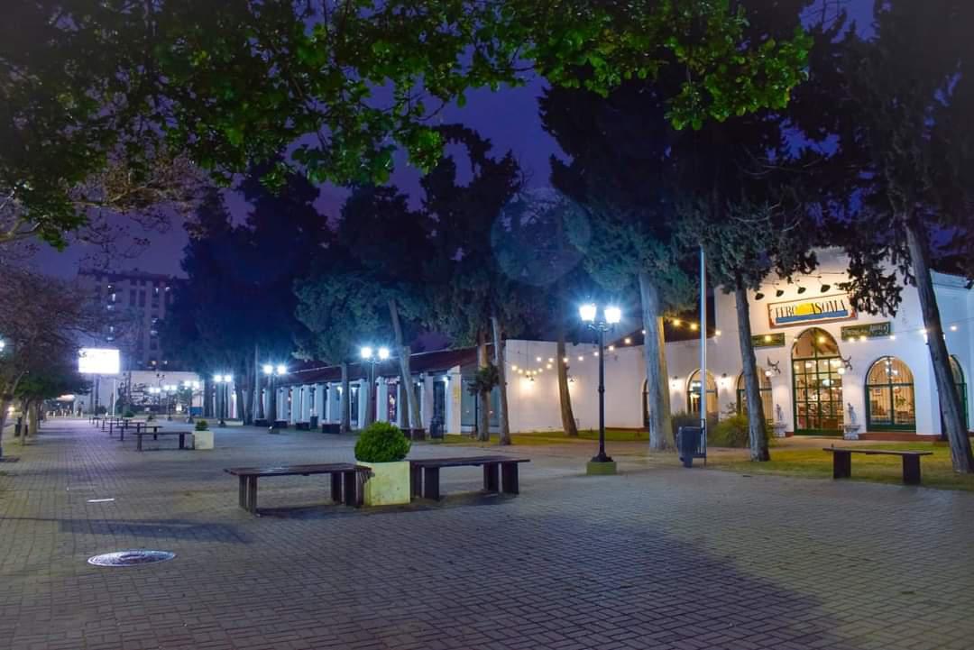 Paseo del Pino noche