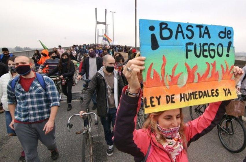 ley-de-humedales