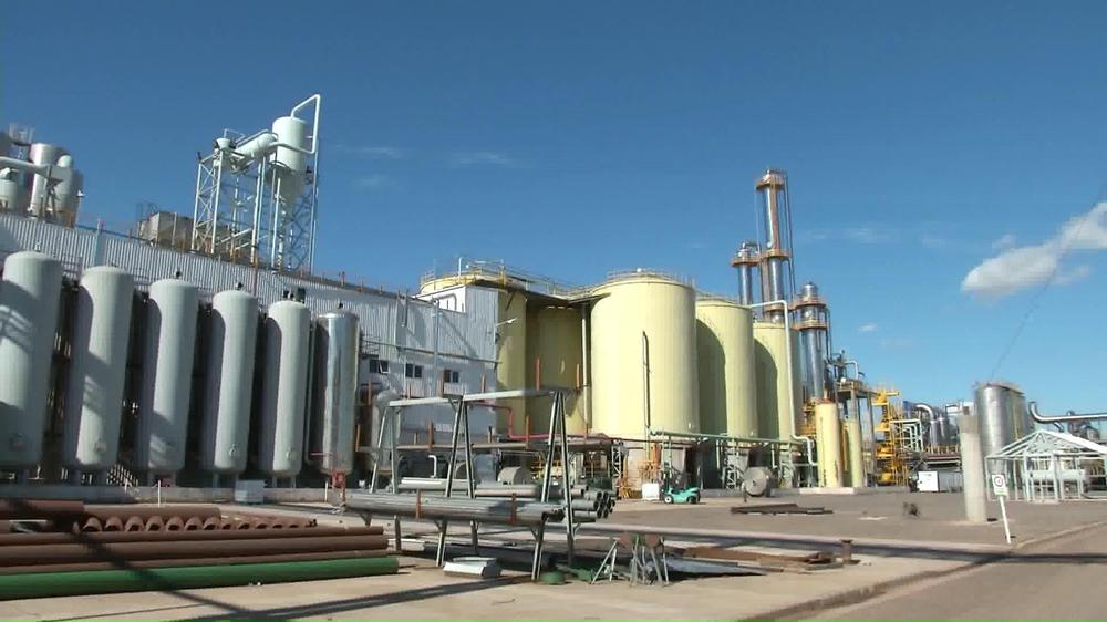 empresa biodiesel