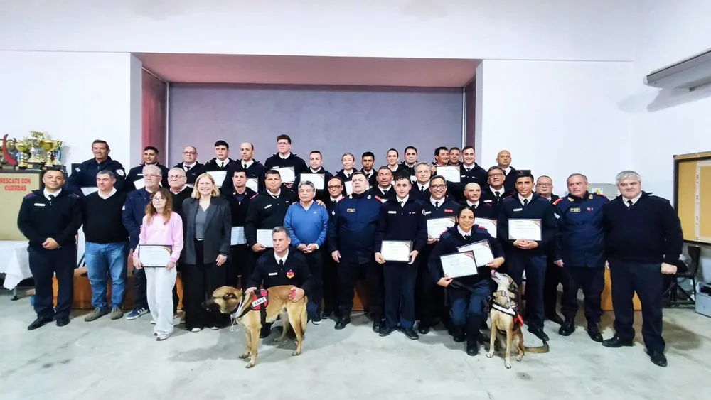 Reconocimiento brigadistas