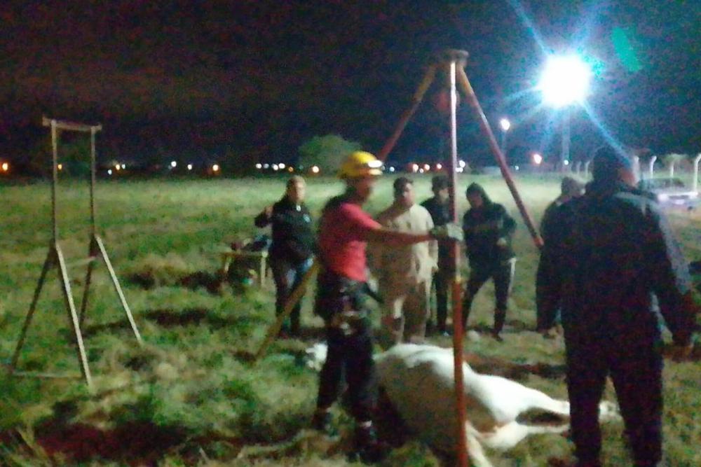 WhatsApp Image 2024-04-29 at 05.54.34