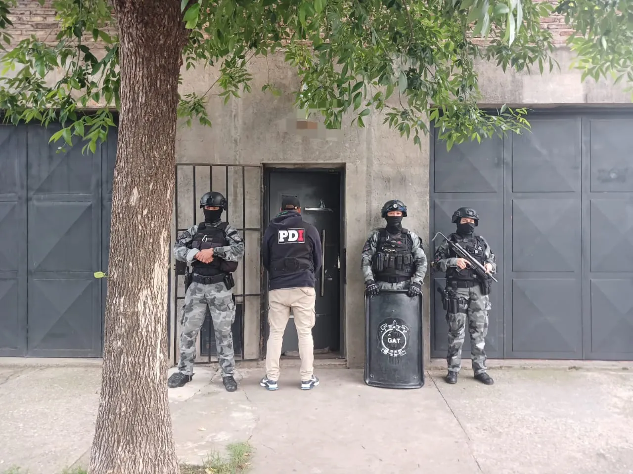 WhatsApp Image 2024-11-08 at 18.12.54