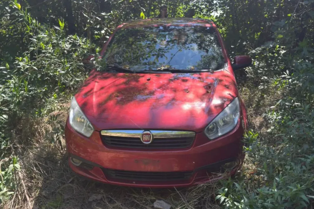 WhatsApp Image 2026-04-01 at 09.41.36