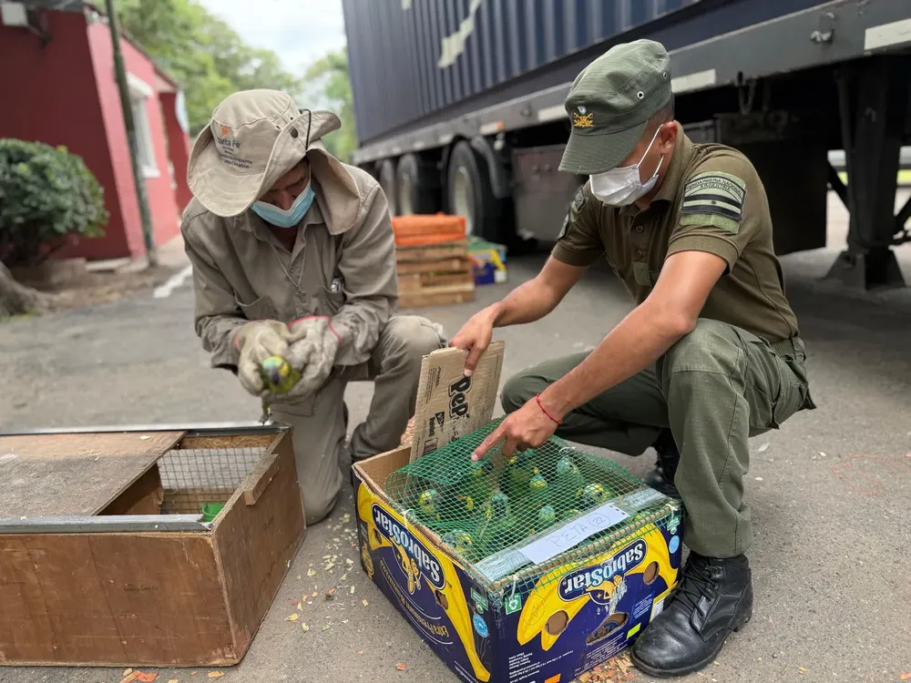 WhatsApp Image 2026-02-17 at 08.55.33