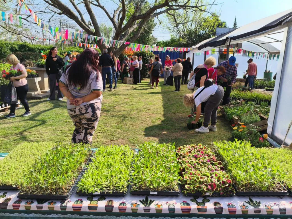 vivero sanlo apertura
