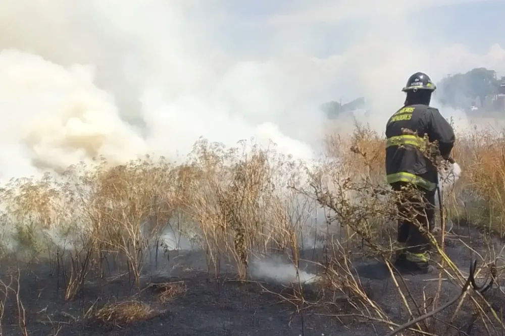 WhatsApp Image 2026-01-24 at 17.32.31