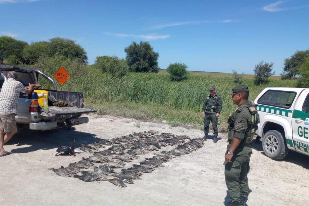 WhatsApp Image 2024-01-06 at 18.03.58