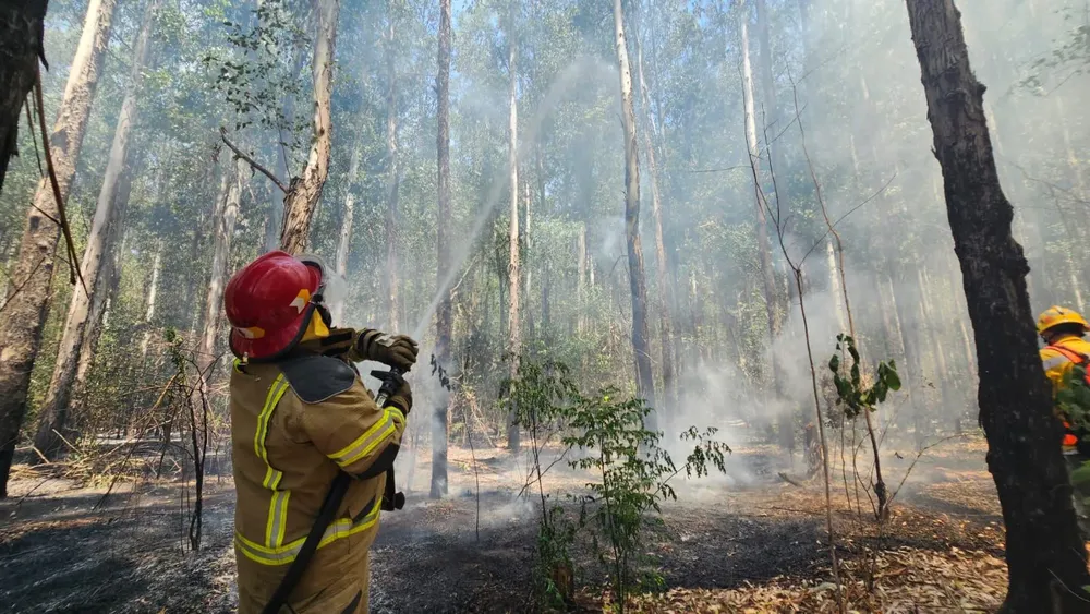 WhatsApp Image 2025-01-17 at 14.17.34 (1)