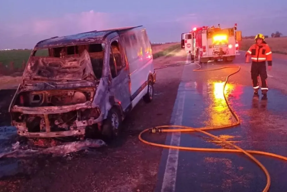 WhatsApp Image 2024-09-14 at 17.37.27