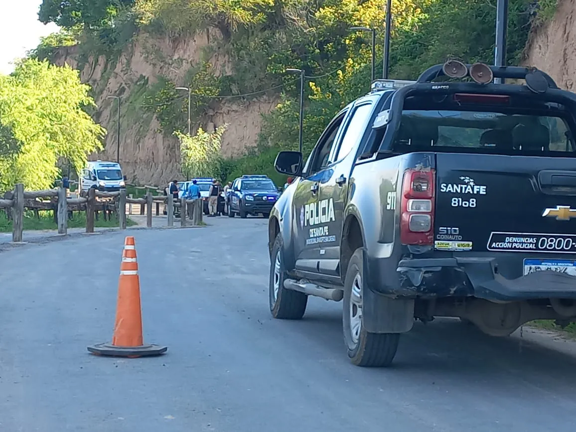 busqueda Maxi Cerda