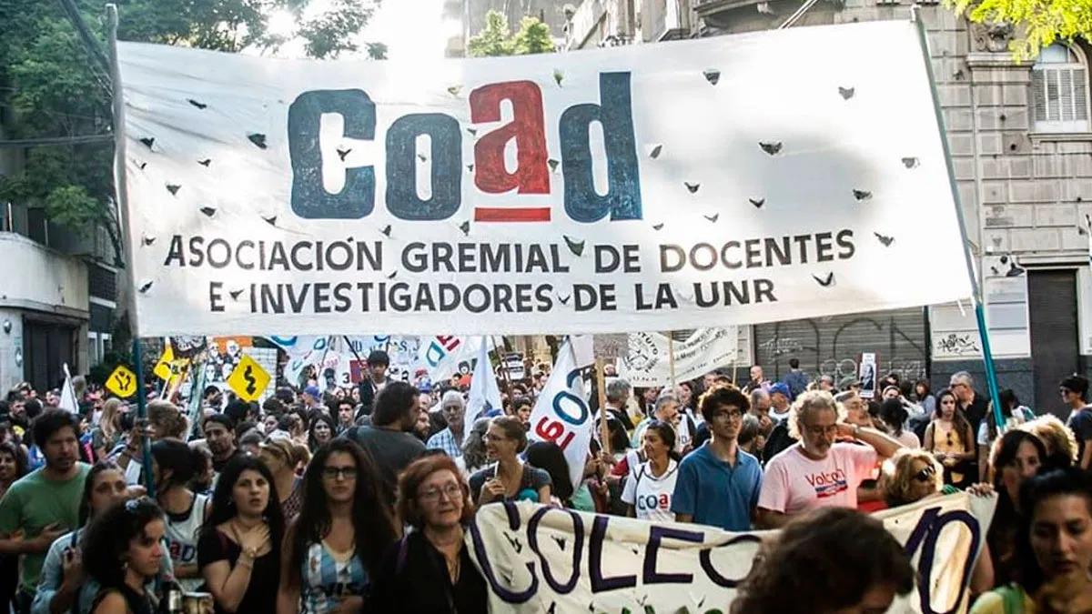 docentes universitarios