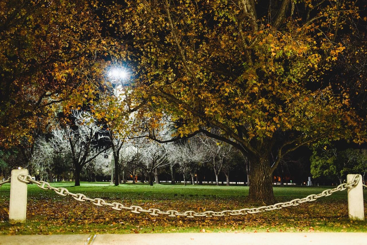 luces_campo1