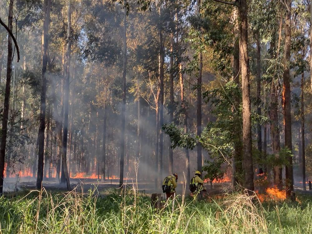 incendio celulosa