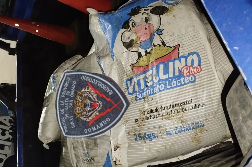 WhatsApp Image 2025-11-12 at 10.28.52