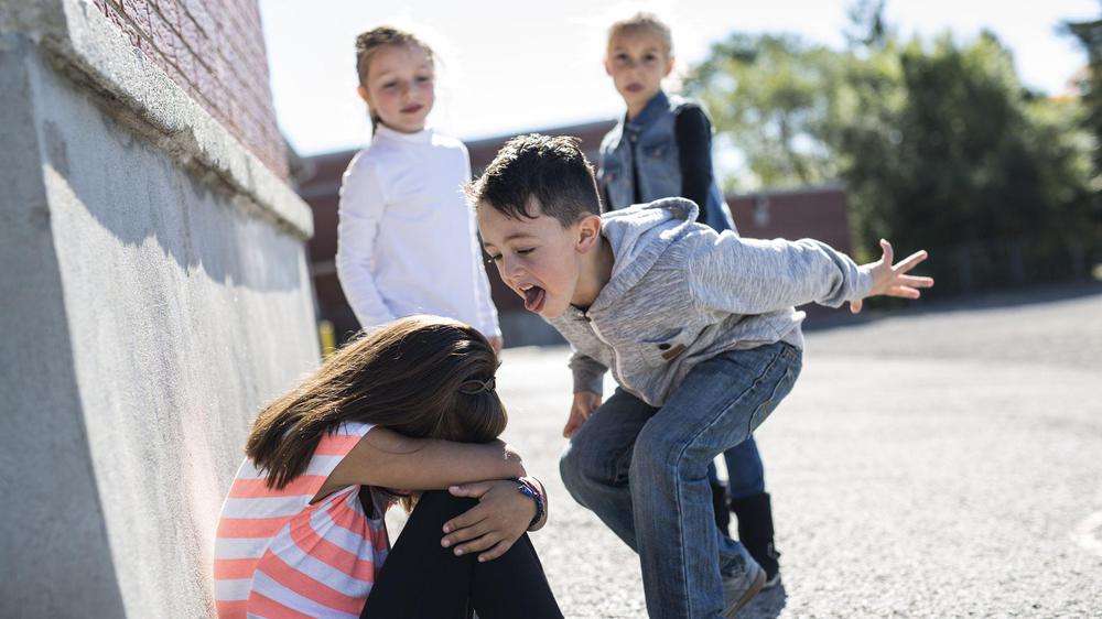 Bullyingenlaescuela-5b0670763de4230039e2bb07
