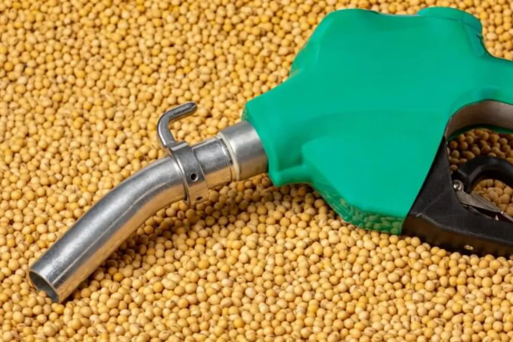 Biodiesel soja
