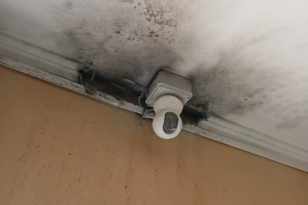 WhatsApp Image 2026-01-15 at 11.07.36