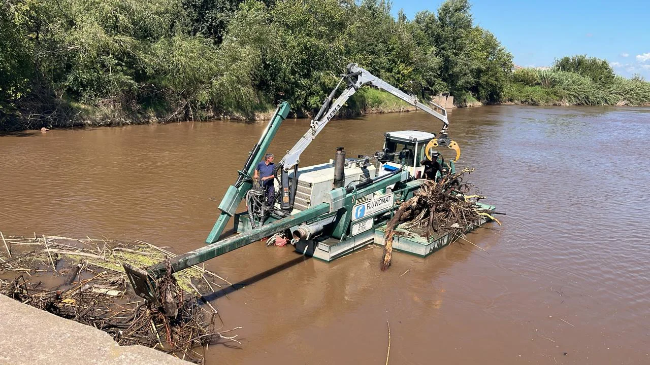 WhatsApp Image 2026-03-31 at 14.19.41