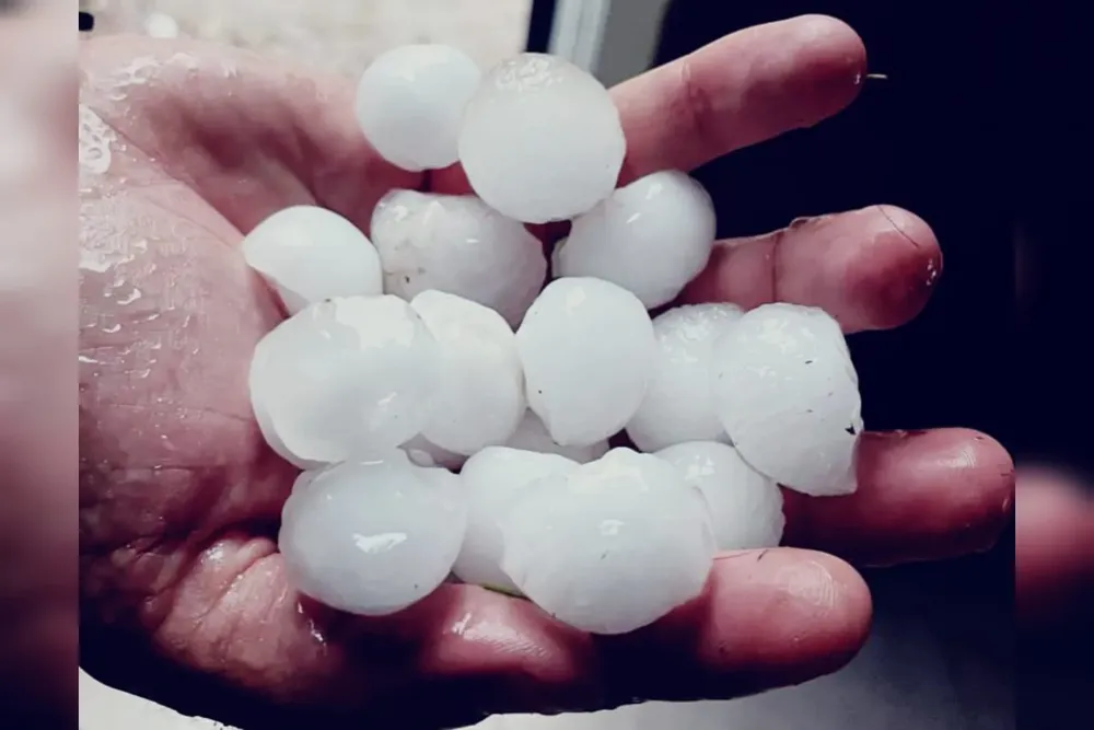 WhatsApp Image 2025-03-28 at 09.53.50