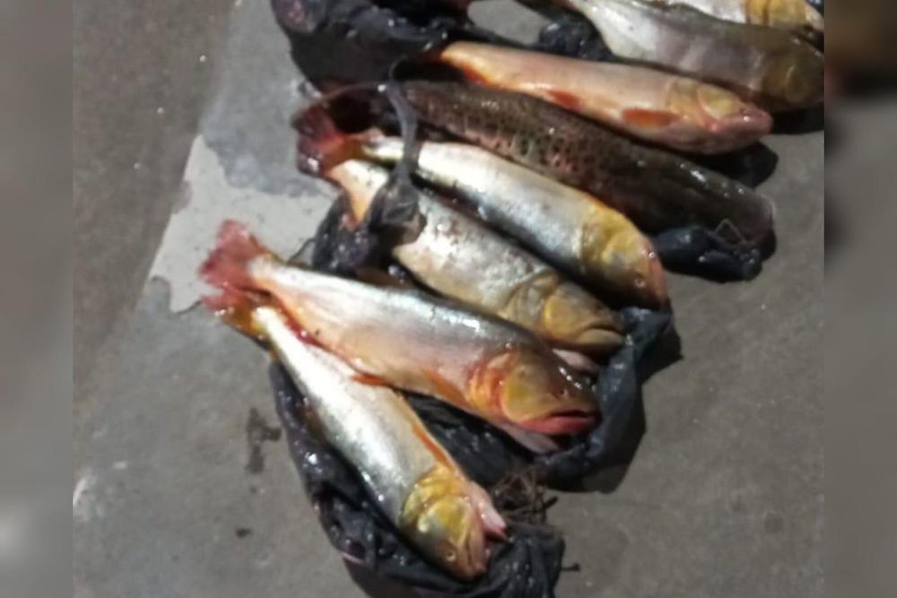 WhatsApp Image 2024-03-29 at 9.56.04 AM