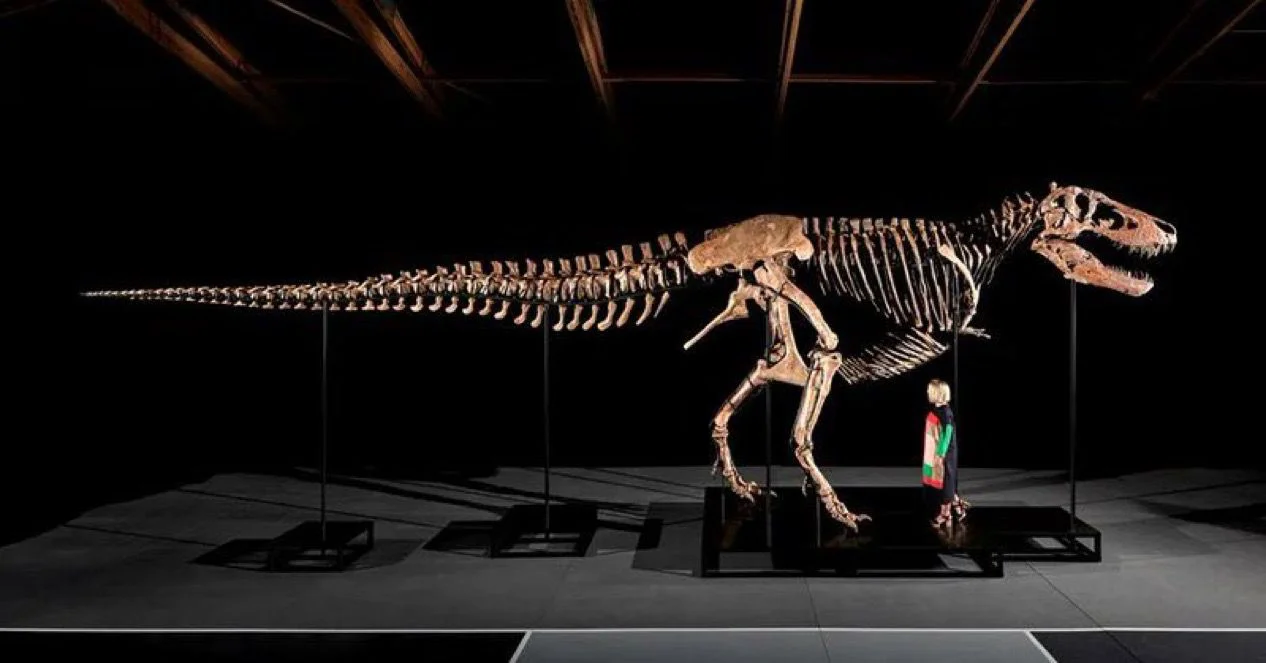 subastaran un Tyrannosaurus rex