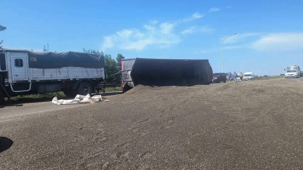 WhatsApp Image 2026-01-13 at 12.21.14