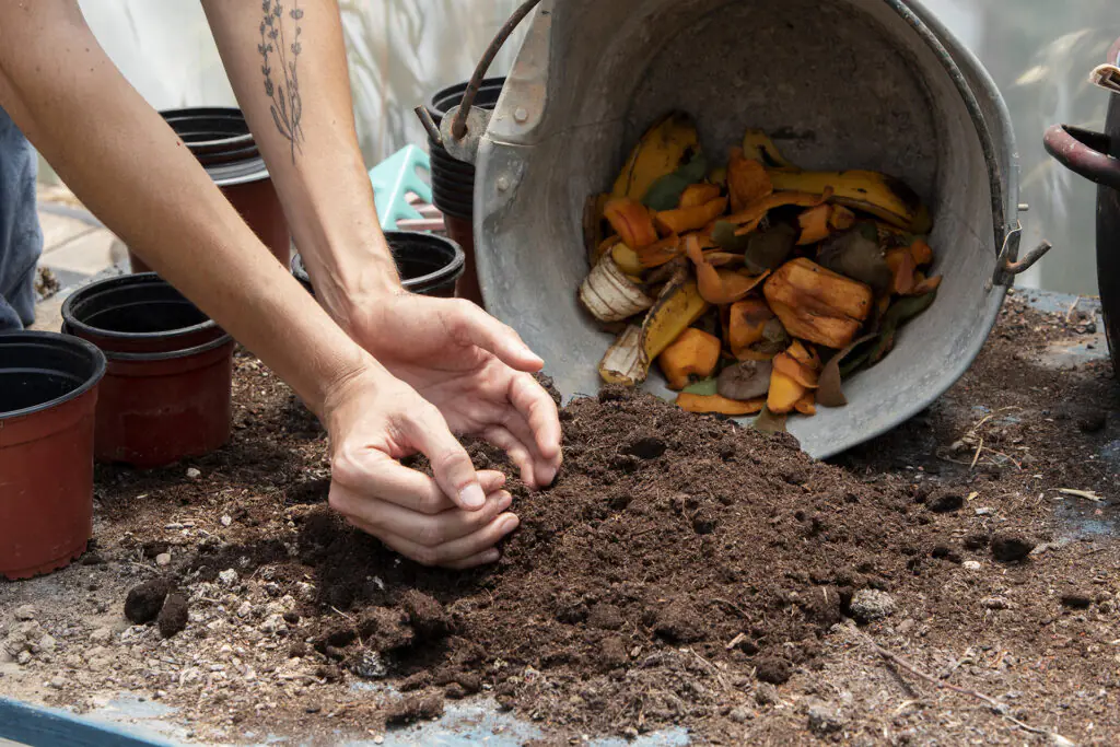 compost-