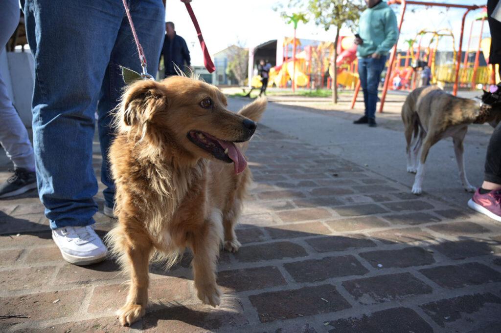 vacunacion1-1024x682