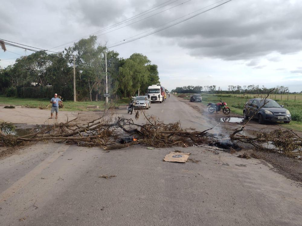 WhatsApp Image 2022-01-23 at 20.13.29