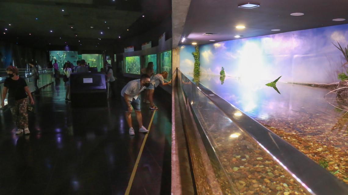 2020-12-19NID_269437O_1