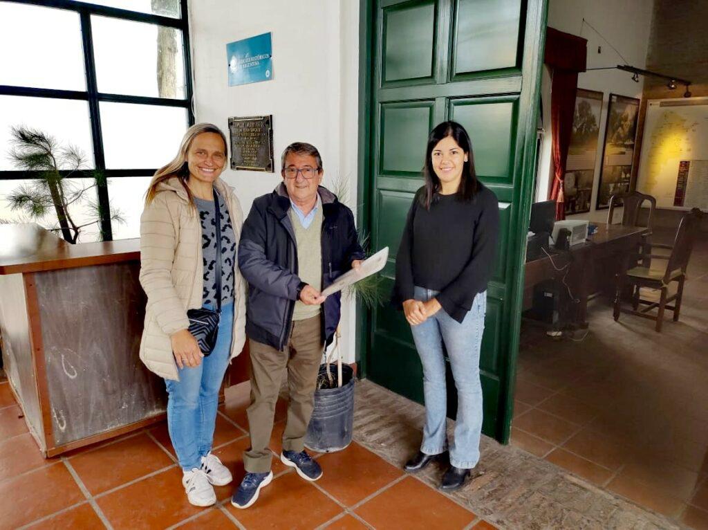museo Pino Historico