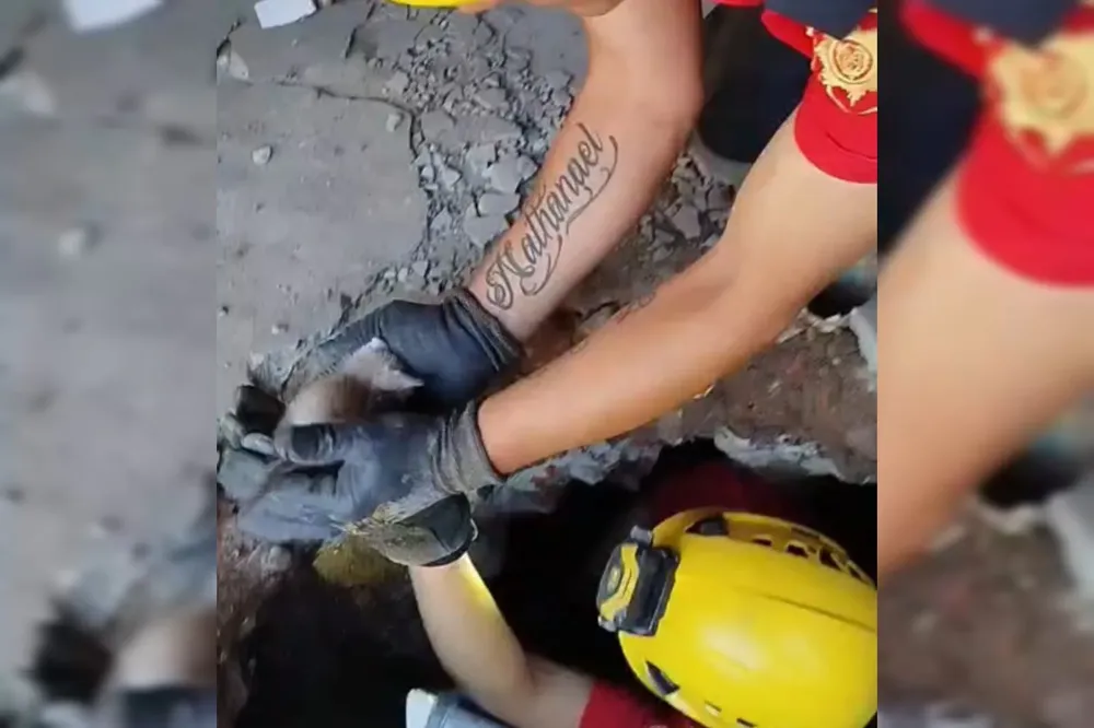 WhatsApp Image 2025-11-23 at 21.09.09 (1)