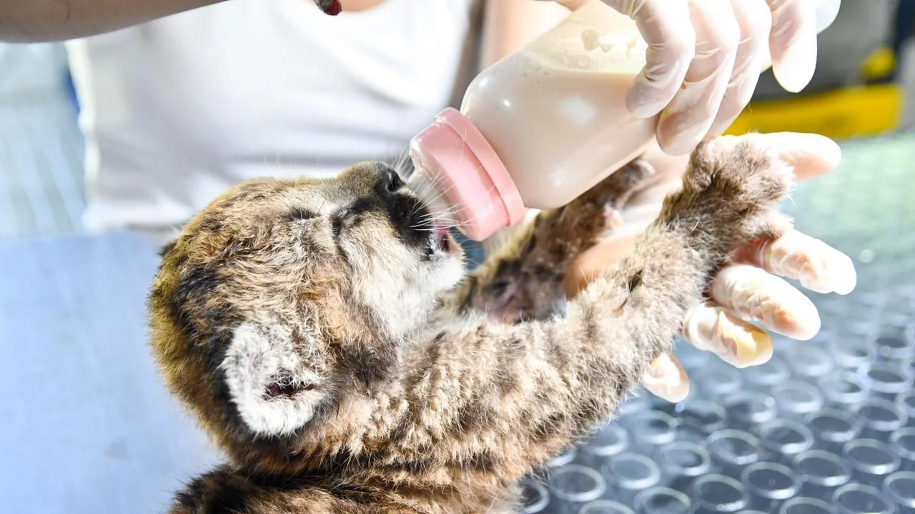 WhatsApp Image 2026-03-28 at 11.00.40