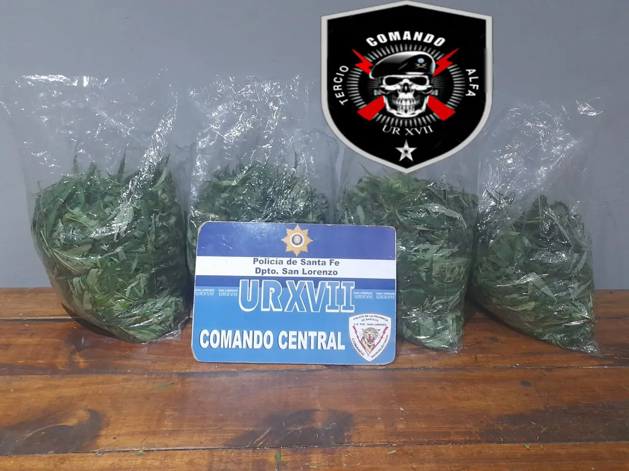 WhatsApp Image 2025-03-03 at 11.32.43