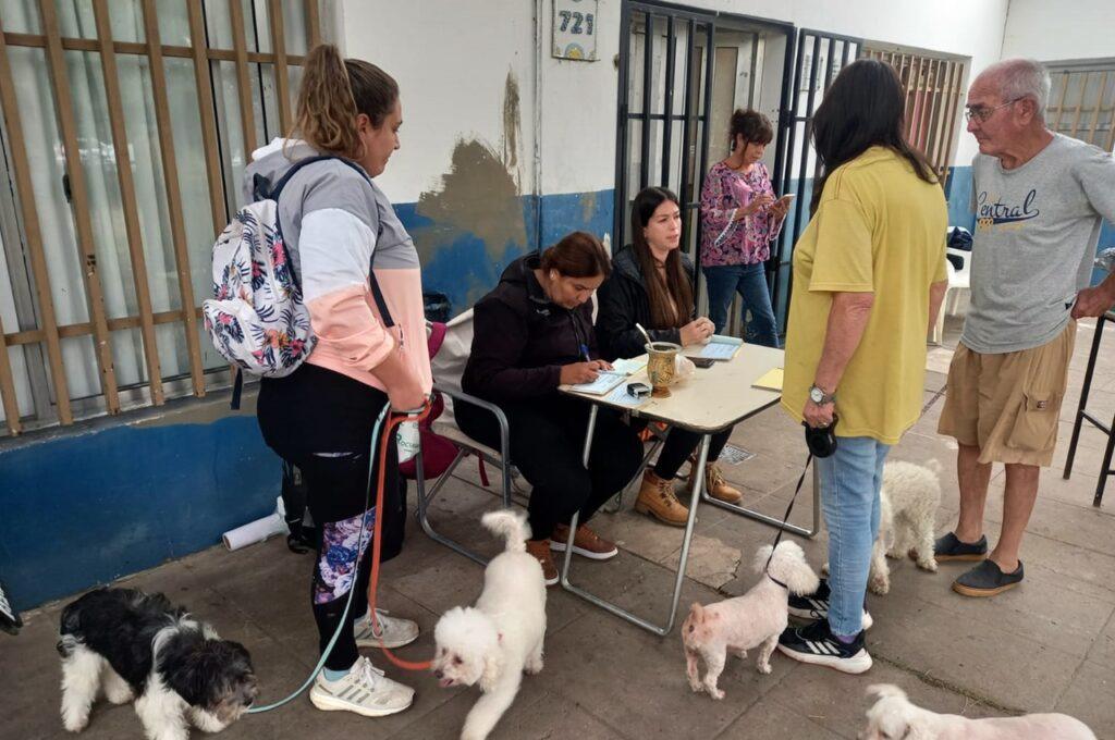 vacunación antirrábica