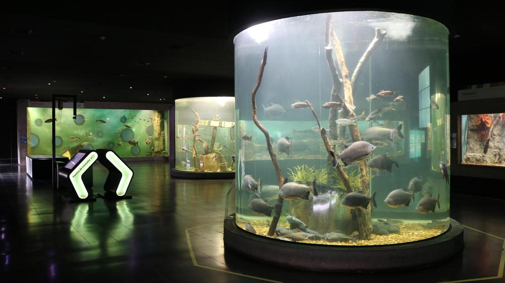 2022-07-06NID_275213O_1