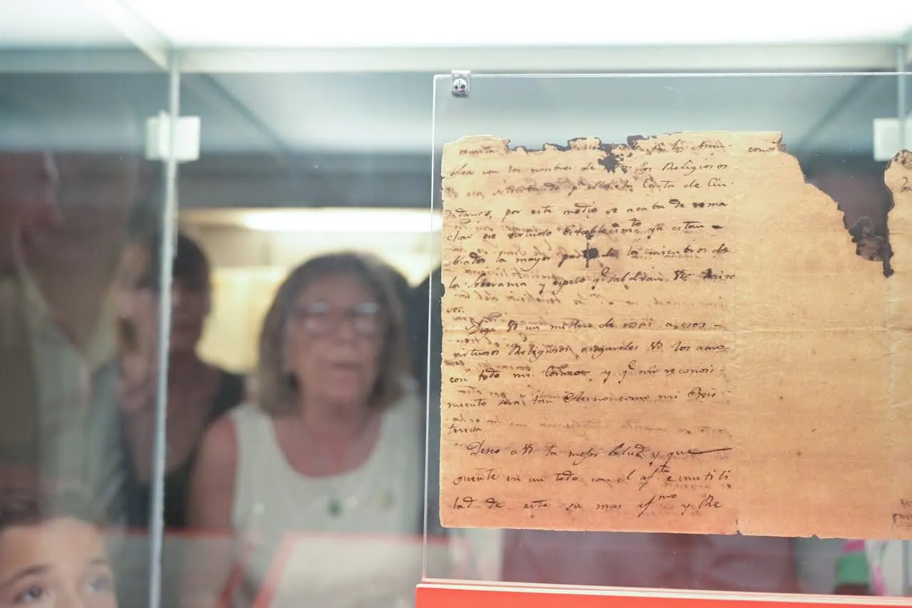 WhatsApp Image 2025-02-01 at 17.52.59