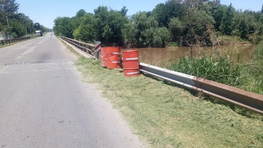 WhatsApp Image 2024-12-09 at 13.40.50