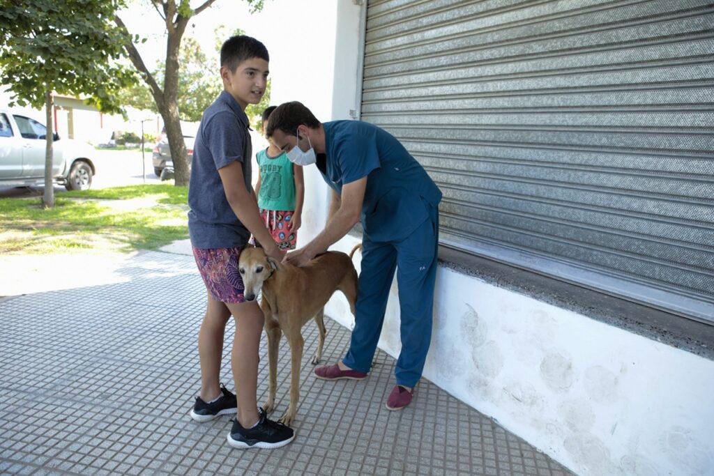 antirrabica_3-1024x683