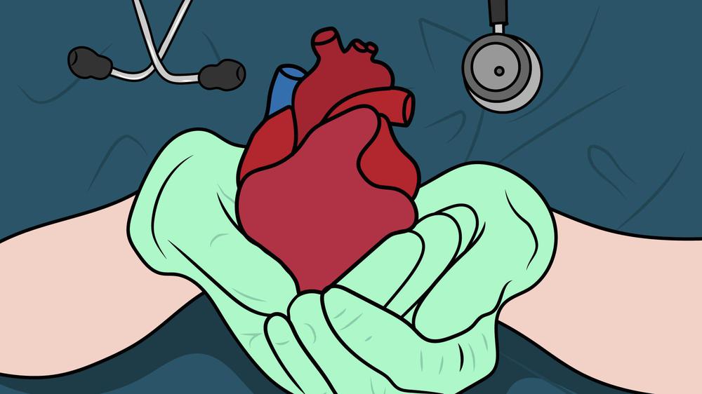 ilustracion-donacion-organos-01-1