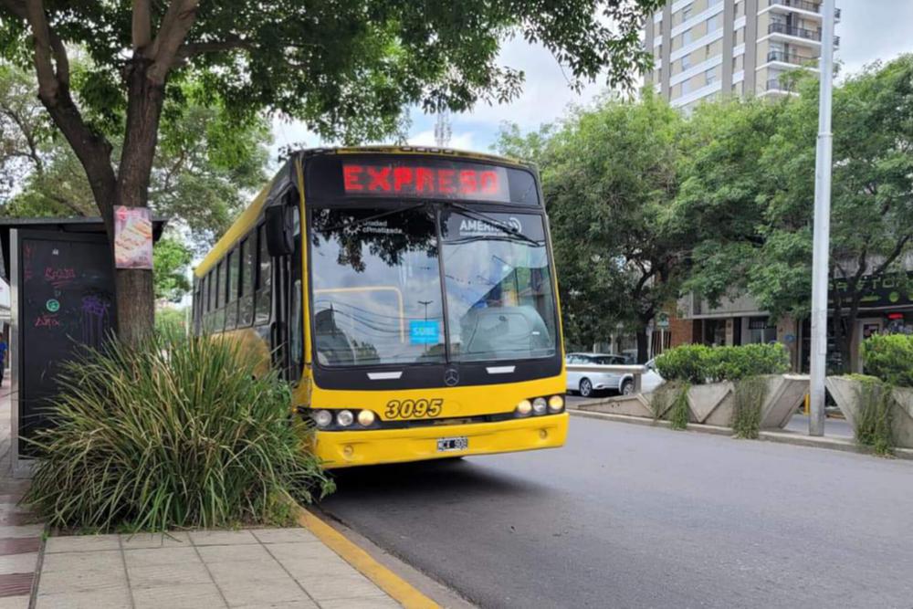 colectivos