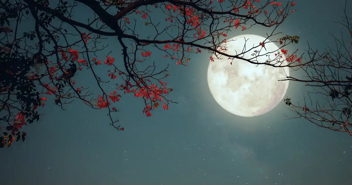 microluna