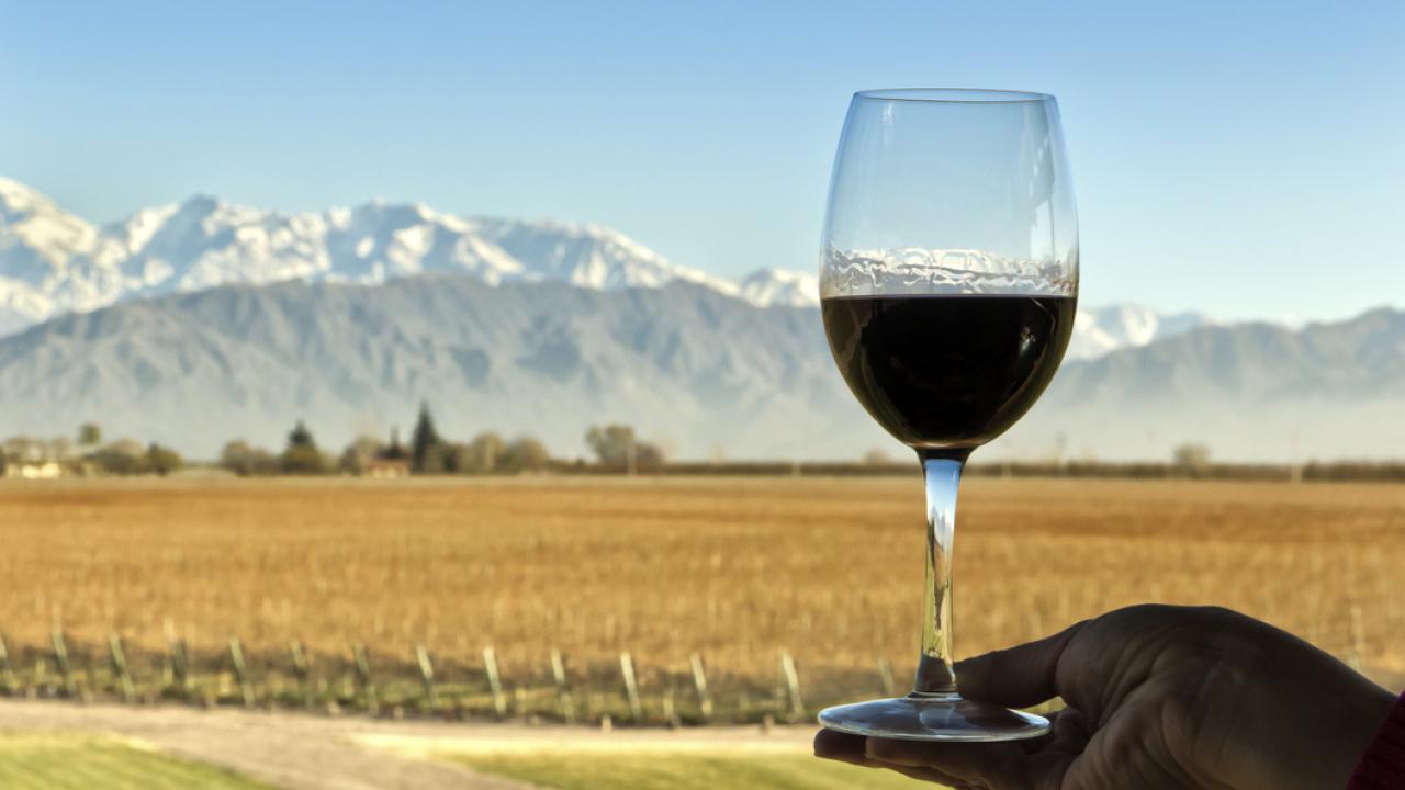 vinos-argentinos