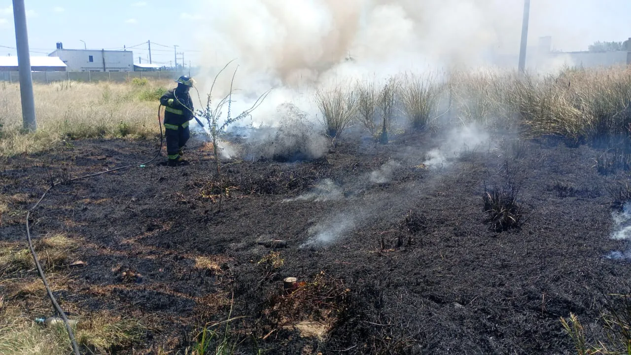 WhatsApp Image 2026-01-28 at 15.14.58 (1)